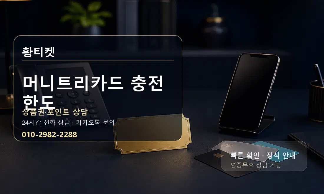 머니트리카드 충전 한도 황티켓 대표 이미지
