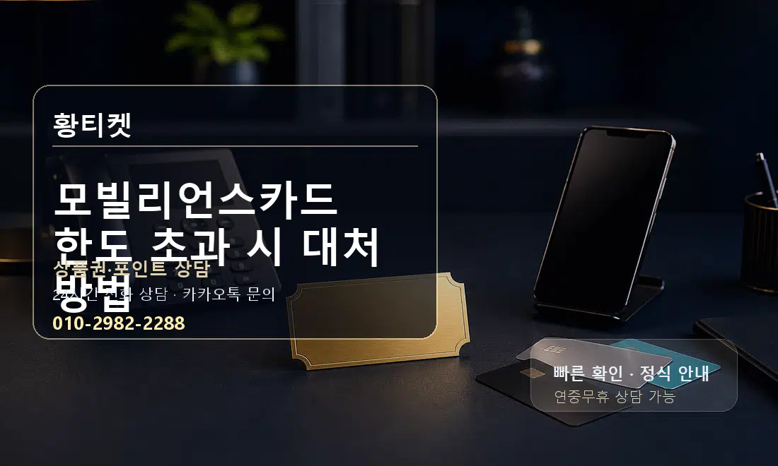 모빌리언스카드 한도 초과 시 대처 방법 황티켓 대표 이미지