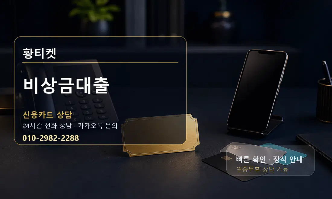 비상금대출 황티켓 대표 이미지