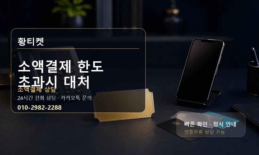 소액결제 한도 초과시 대처 황티켓 대표 이미지
