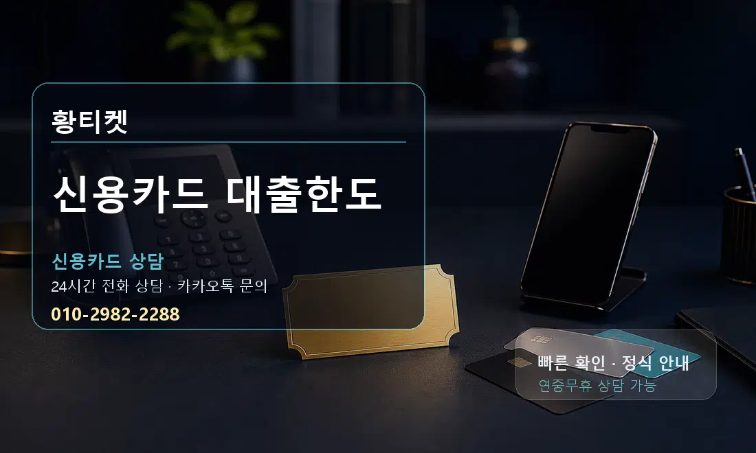 신용카드 대출한도 황티켓 대표 이미지