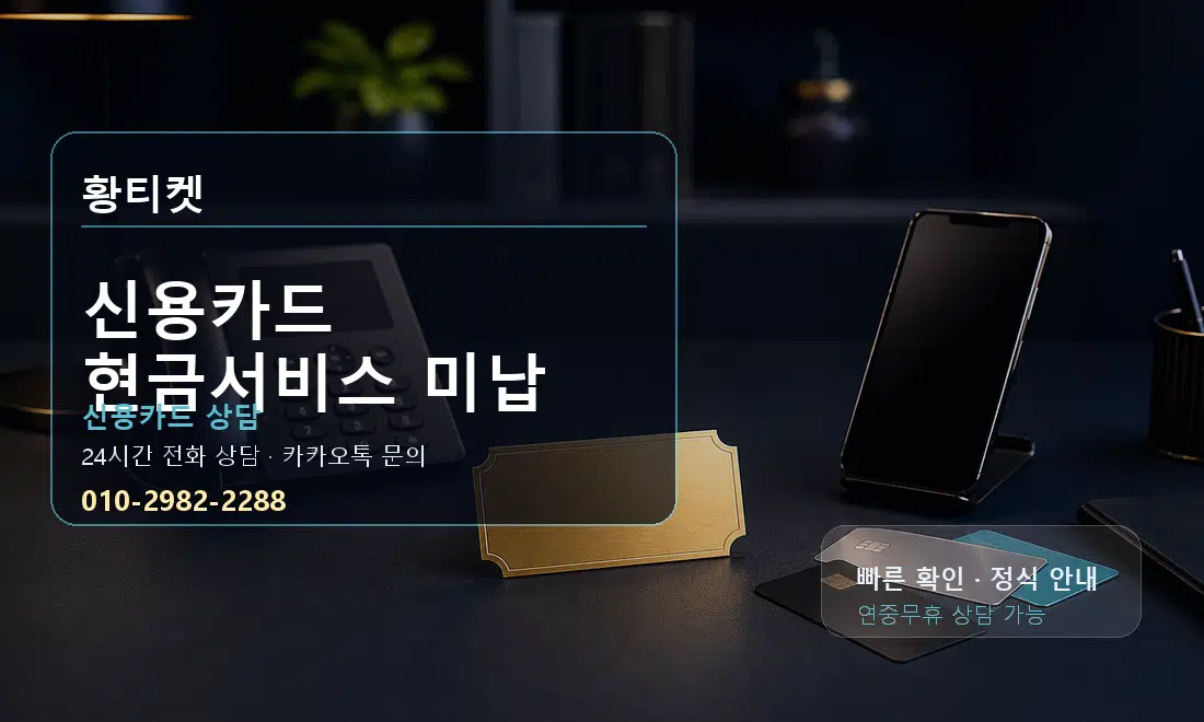 신용카드 현금서비스 미납 황티켓 대표 이미지