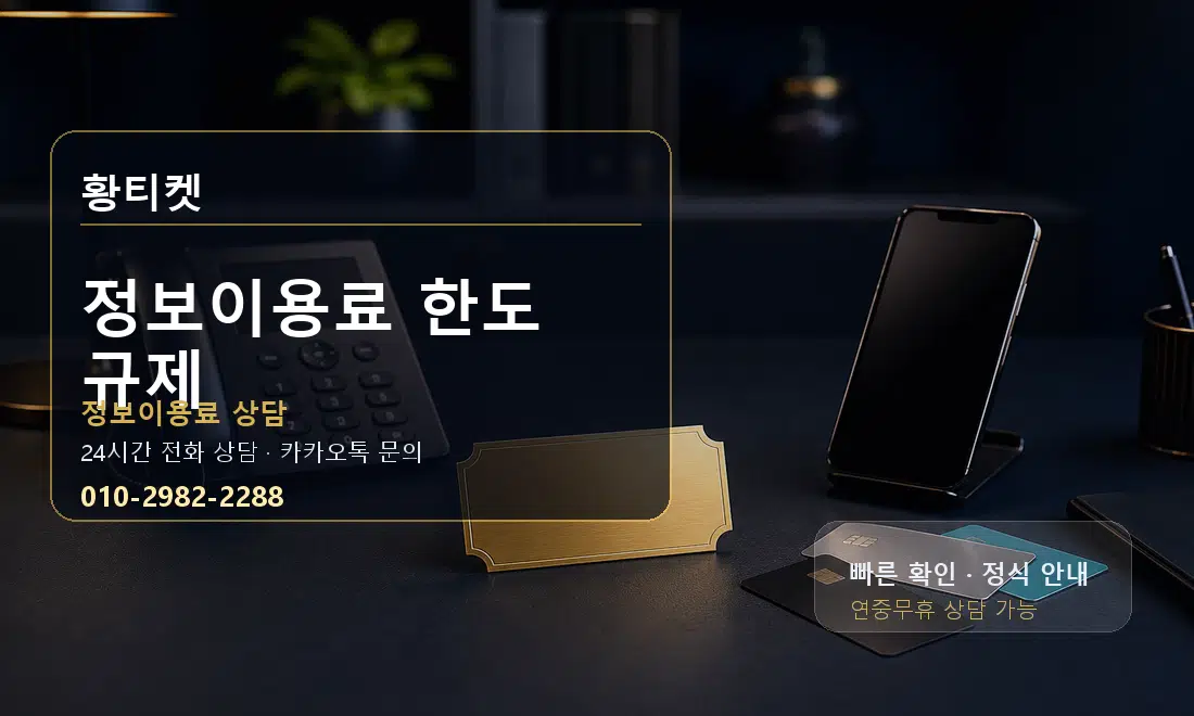 정보이용료 한도 규제 황티켓 대표 이미지