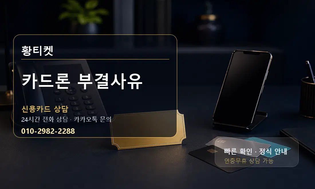 카드론 부결사유 황티켓 대표 이미지